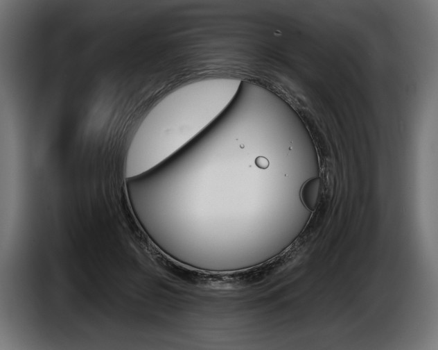 X0000086960550200704161126