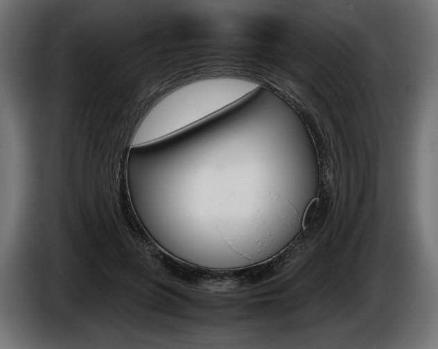 X0000086960551200704161126