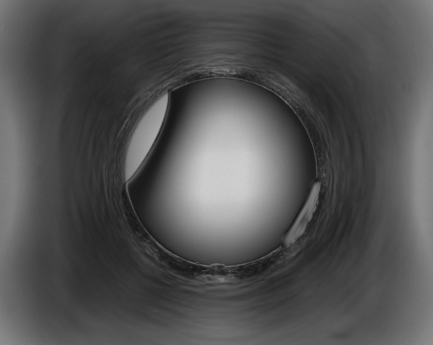 X0000086960552200704161126