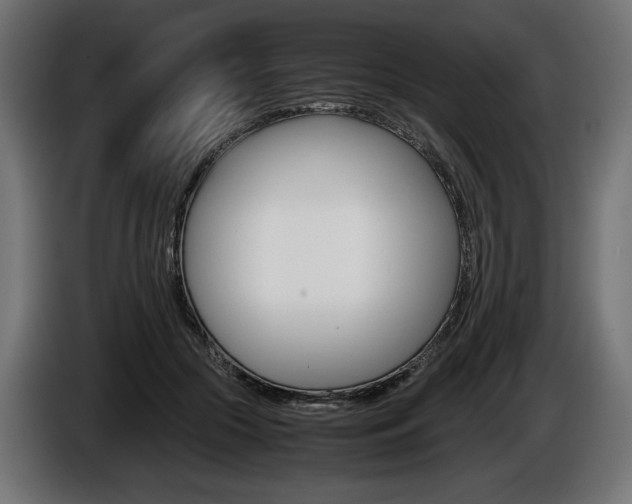 X0000086960553200704161126