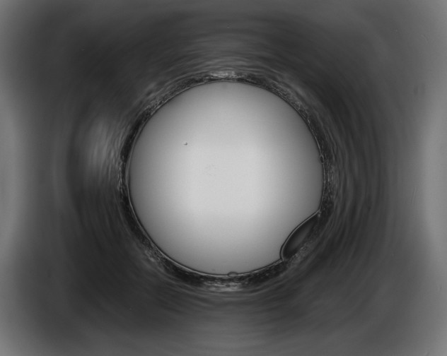 X0000086960554200704161126