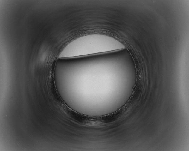 X0000086960555200704161126
