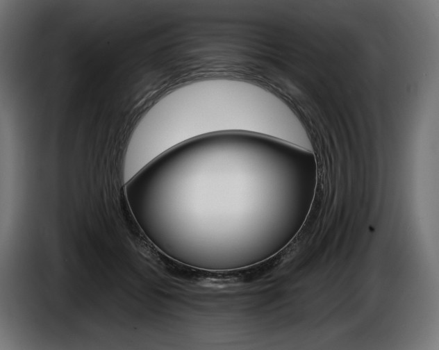 X0000086960556200704161126