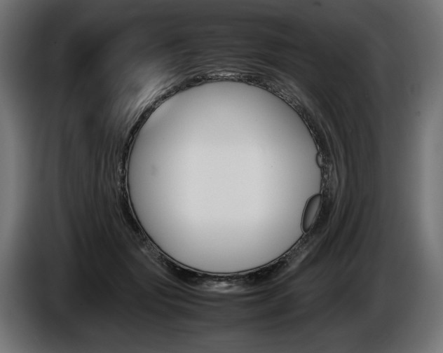 X0000086960557200704161126
