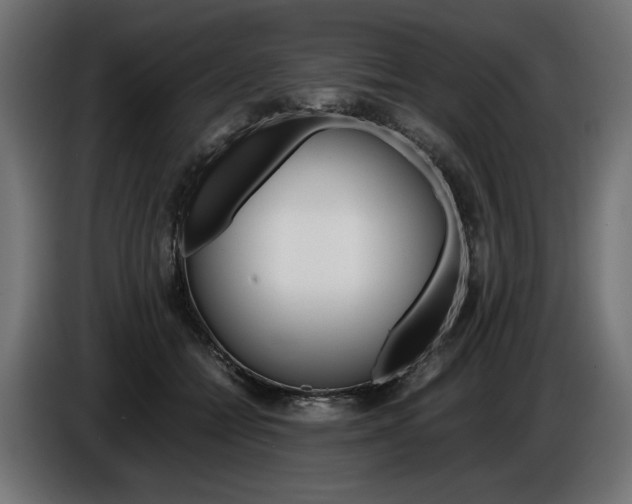 X0000086960558200704161126