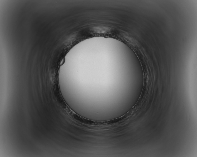 X0000086960559200704161126