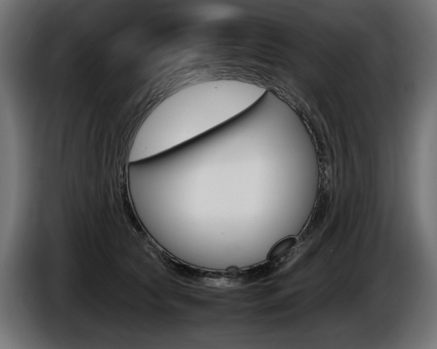 X0000086960561200704161126