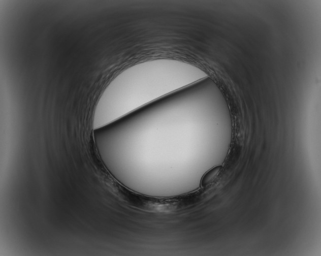 X0000086960563200704161126