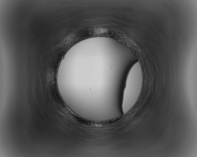X0000086960565200704161126