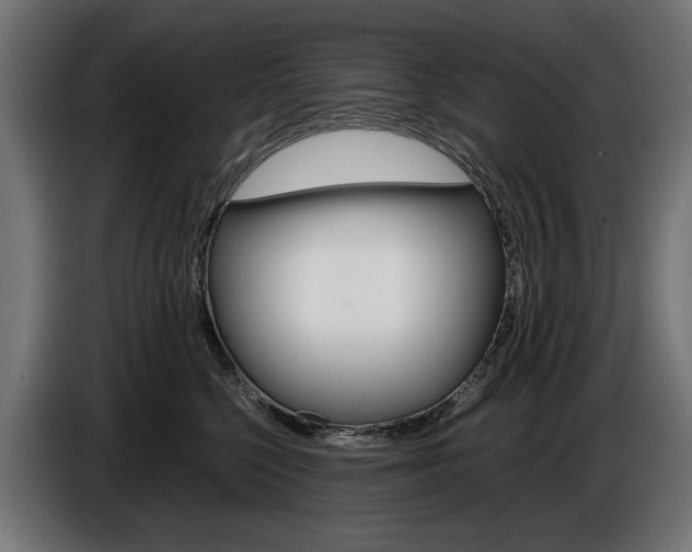 X0000086960568200704161126