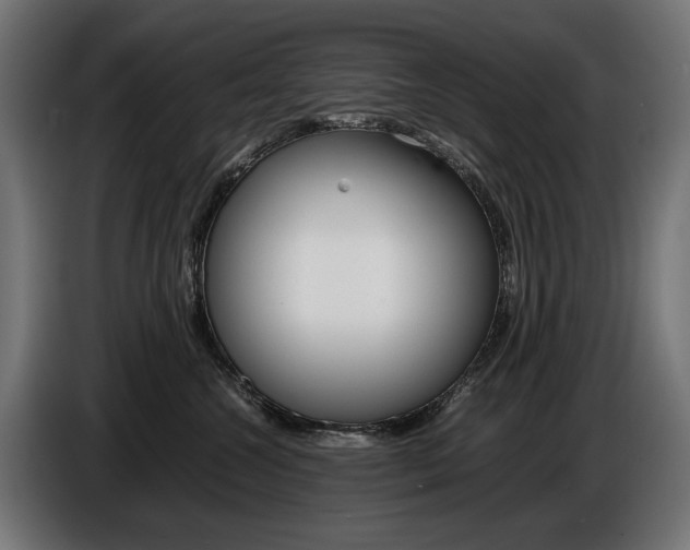 X0000086960572200704161126