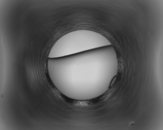 X0000086960573200704161126