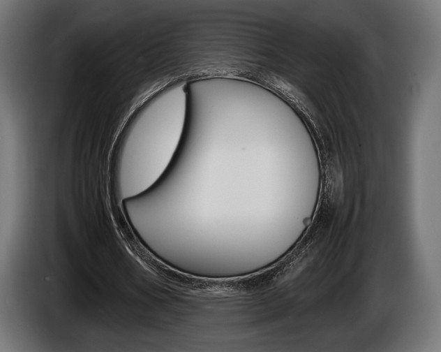 X0000086960578200704161126
