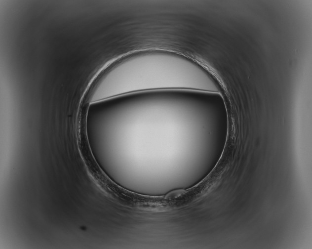 X0000086960580200704161126