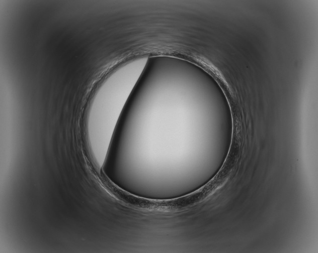 X0000086960581200704161126