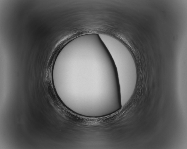 X0000086960583200704161126