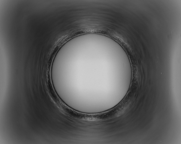 X0000086960590200704161126