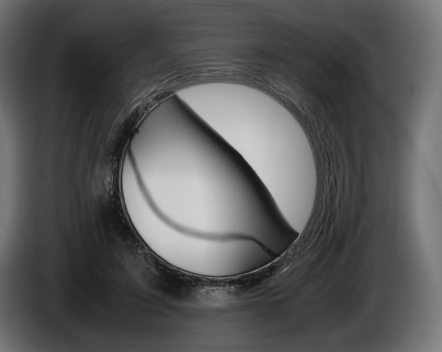 X0000086960595200704161126