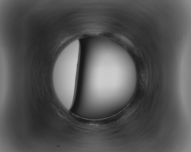 X0000086960596200704161126