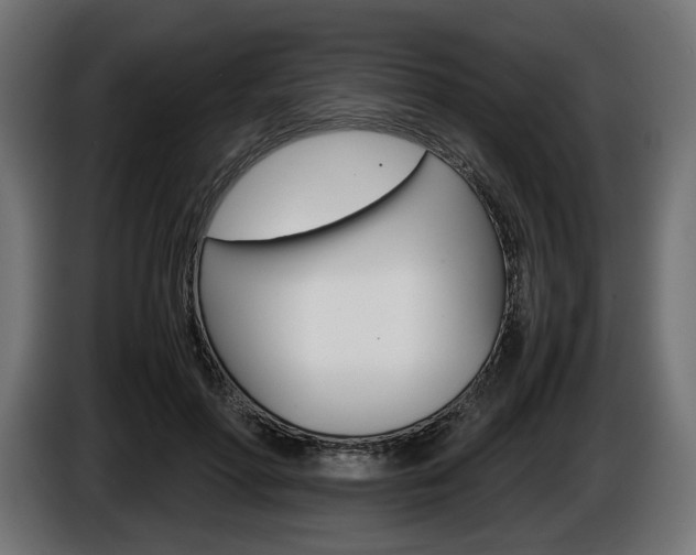 X0000086960598200704161126