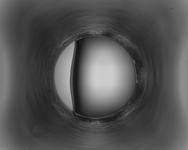 X0000086960600200704161126