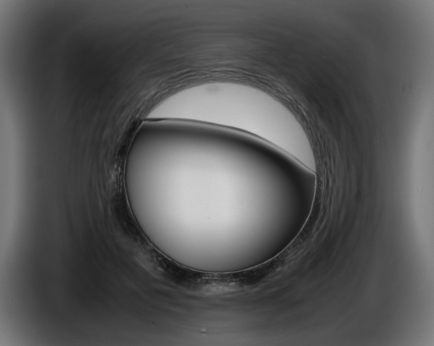 X0000086960601200704161126