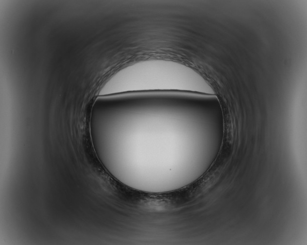 X0000086960608200704161125