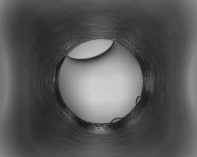 X0000086960618200704161125