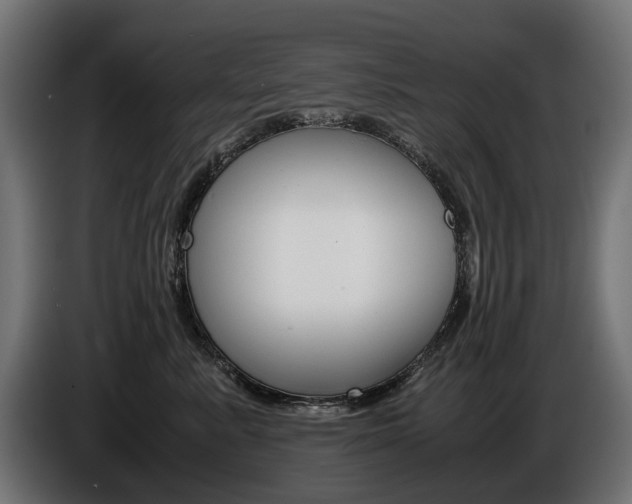 X0000086960619200704161125