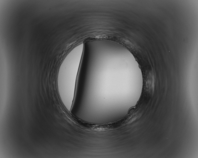 X0000086960620200704161125