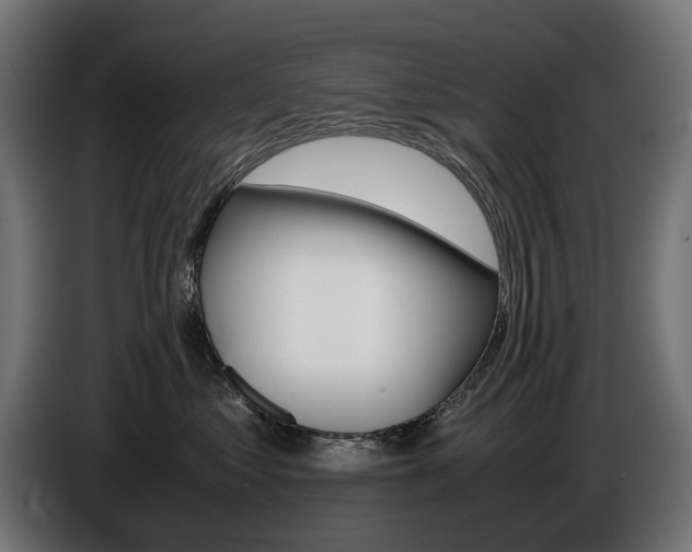 X0000086960621200704161125