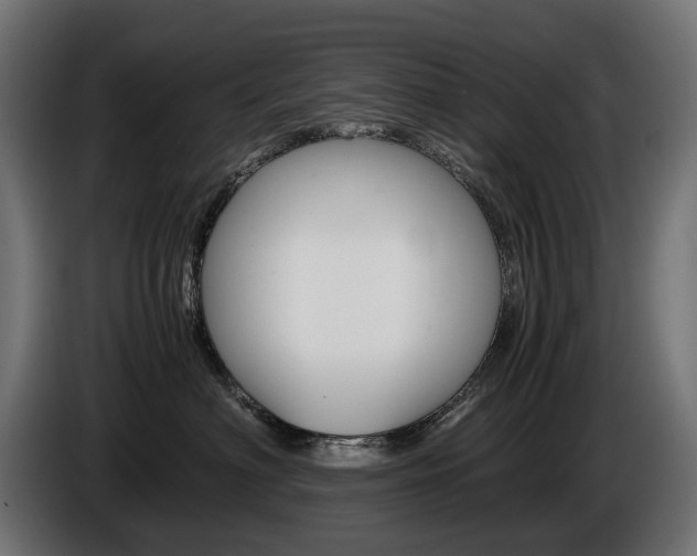 X0000086960622200704161125