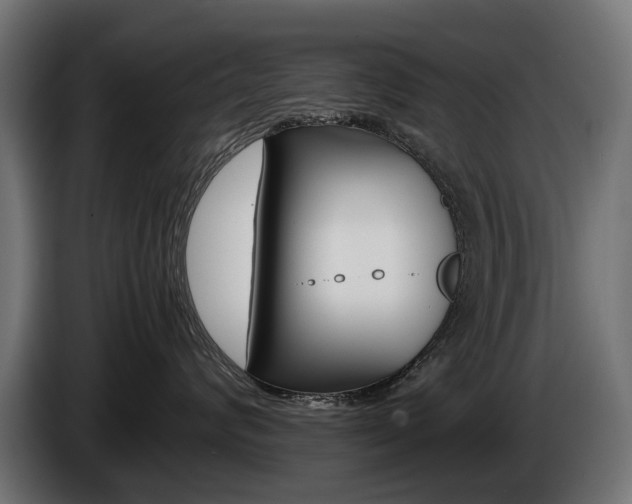 X0000086960624200704161125