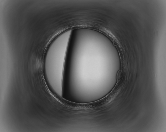 X0000086960625200704161125
