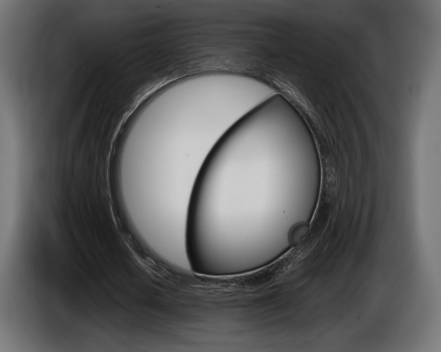 X0000086960626200704161125
