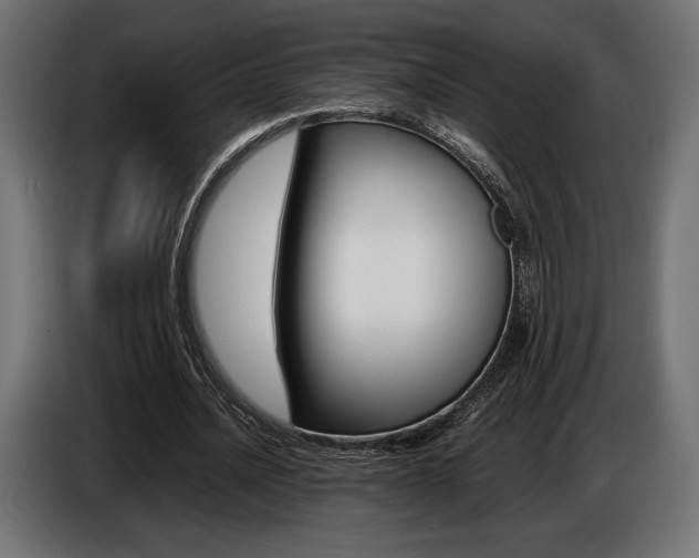 X0000086960628200704161125