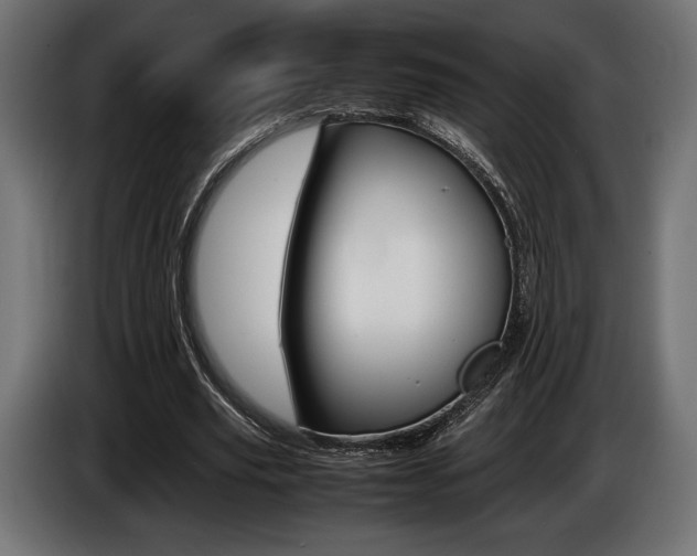 X0000086960629200704161125