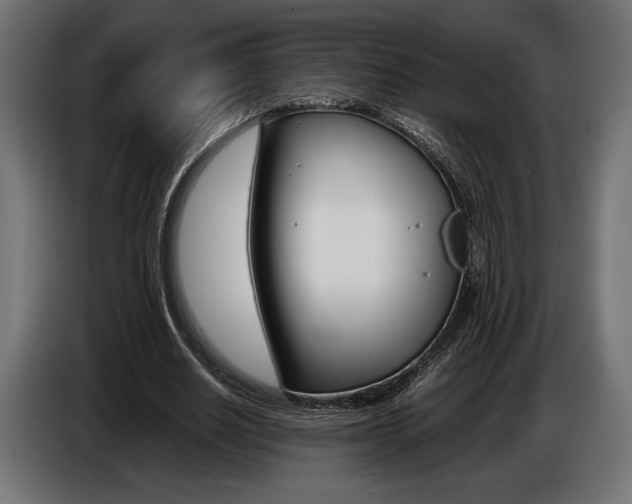 X0000086960630200704161125