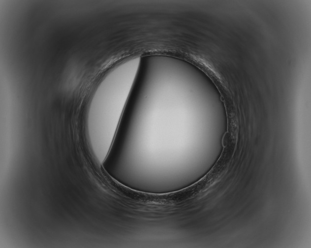X0000086960631200704161125