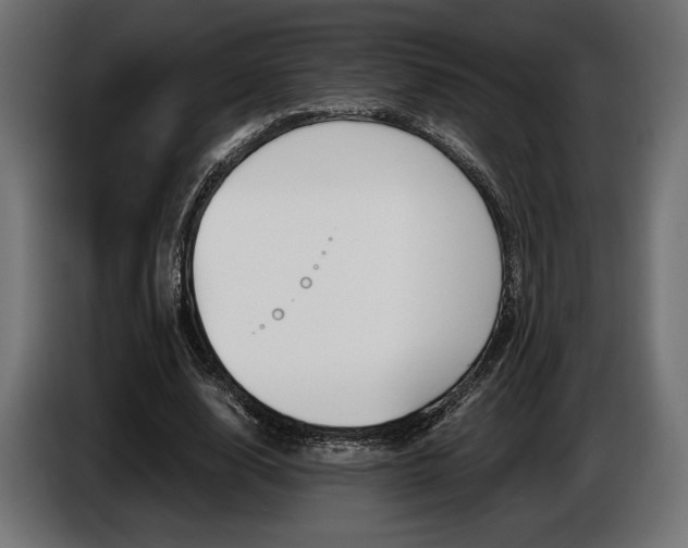 X0000086960632200704161125