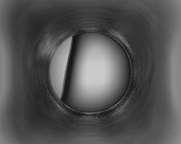 X0000086960633200704161125