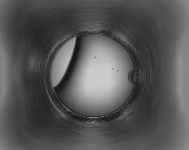 X0000086960634200704161125
