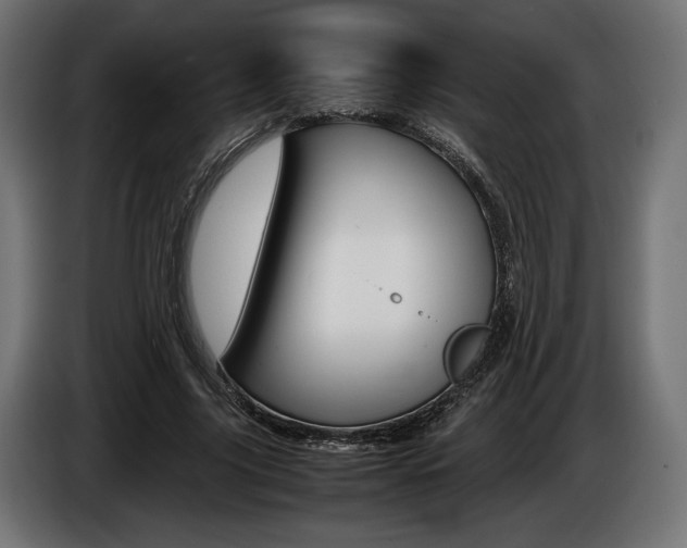 X0000086960635200704161125