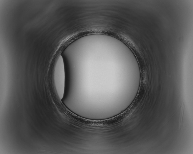 X0000086960636200704161125