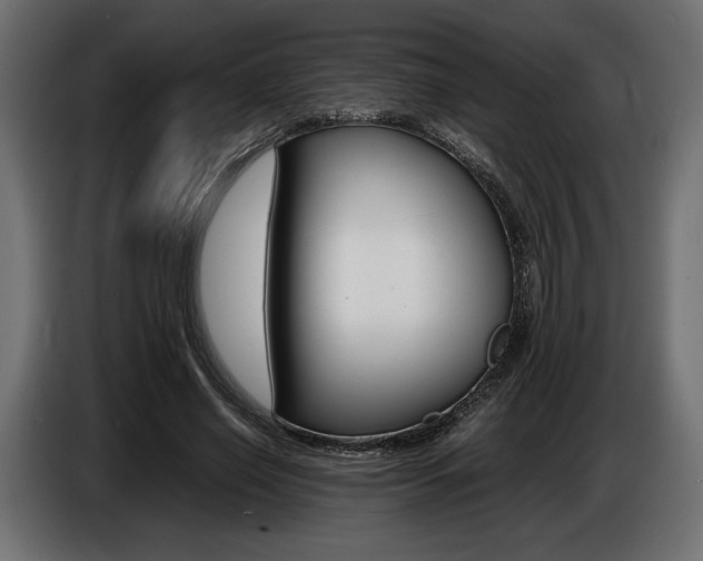 X0000086960638200704161125