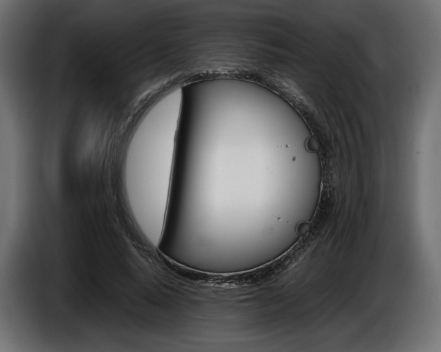 X0000086960640200704161125
