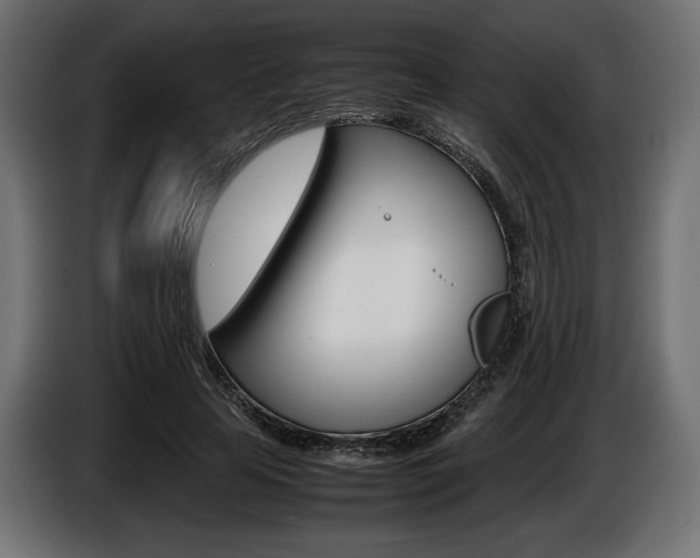 X0000086960641200704161125