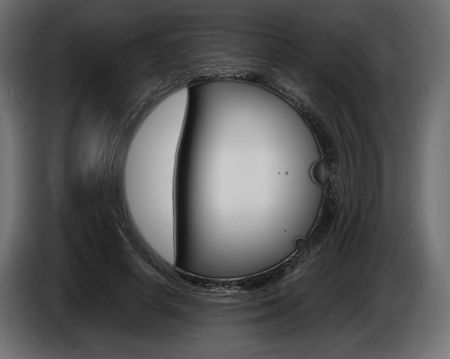 X0000086960642200704161125