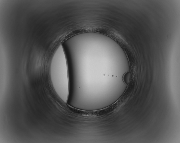 X0000086960644200704161125