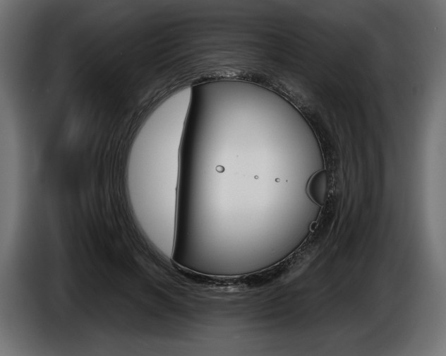 X0000086960646200704161125